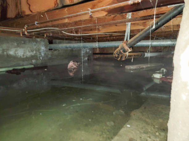Best Ceiling water damage repair  in Hyde, PA