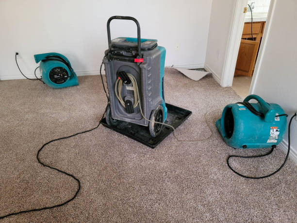 Best Water damage restoration experts  in Hyde, PA