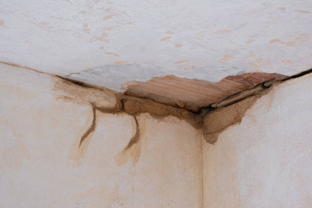 Best Flood damage cleanup  in Hyde, PA