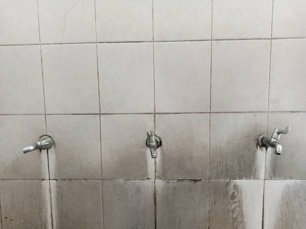 Best Mold removal after water damage  in Hyde, PA